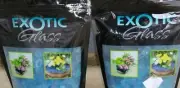 (2) Exotic Pebble & Aggregates 2-Pound Bag Each , Turquoise Glass, Small