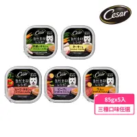 在飛比找momo購物網優惠-【Cesar 西莎】自然素材餐盒 85g*5入組 寵物/狗罐