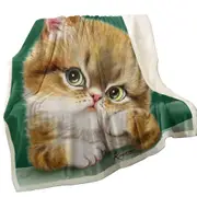 Cute Cats Art the Thinker Kitten Throw Blanket