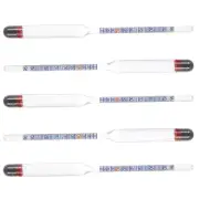 5 Pcs Alcohol Meter Thermometers Hydrometer for Home Brew Bottle