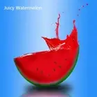 PREMIUM HIGHLY SCENTED REED DIFFUSER REFILLS - Watermelon Fragrance