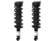 Rear Unity Strut Assembly Kit fits Subaru Legacy 2005-2009 13RBJQ (for: Subaru)