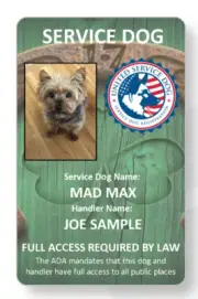 Lucky Service Dog/Emotional support/Therapy Dog ID card