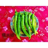 在飛比找蝦皮購物優惠-【蔬食殿買菜網】糯米椒 220克±10%