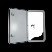 Coast Access Door #2 Hole 415mm x 681mm White Caravan RV Pop Top Camper Trailer