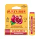 【Burt's Bees】 石榴保濕滋潤護唇膏 4.25g