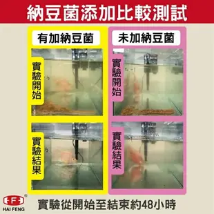 海豐 親蜜伙伴 龍鯉 金魚 雙色育成配合飼料 浮上性 金魚飼料 錦鯉 星星水族