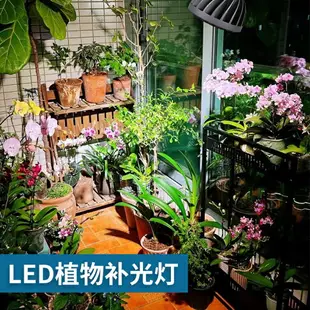 LED植物燈/植物生長燈 全光譜led射燈30W植物補光燈 蘭花睡蓮碗蓮生長燈魚缸爆藻燈泡E27『XY39778』