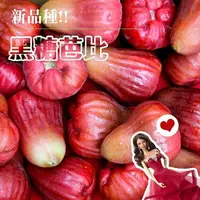 在飛比找樂天市場購物網優惠-【鮮果日誌】蓮霧界的LV 黑糖芭比4台斤