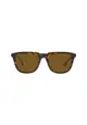 Burberry Men's Square Frame Brown Injected Sunglasses - BE4381U