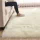 北歐風地毯 客廳地毯臥室床邊毯長毛絨地墊簡約加厚地毯門墊 (6.7折)
