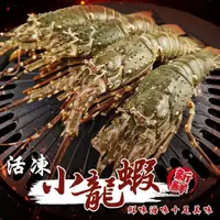 在飛比找iOPEN Mall優惠-活凍小龍蝦(每尾100-150g)【海陸管家】滿額免運