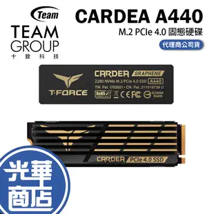 T-FORCE 十銓 CARDEA A440 1TB 2TB M.2 PCIe SSD 黑曜女神 固態硬碟 雙散熱片