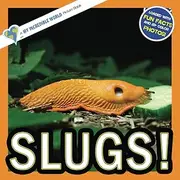 Slugs!: A My Incredible World Picture Book for Children