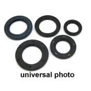 Engine Oil Seal Set Fits 1984 Suzuki DR100