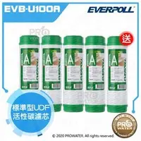 在飛比找PChome商店街優惠-原廠公司貨 水達人~EVERPOLL 活性碳濾芯/標準型UD