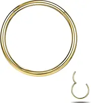 [6ixGosh] Septum Rings Septum Jewelry Stainless Steel Hinged Seamless Nose Hoop Ring Cartilage Daith Tragus Clicker Rings Retainer Body Piercing Jewelry Nose Rings for Women1, 20G, Stainless Steel, no