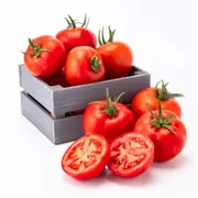 Tomato - Canabe Super seeds
