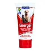 CM Labs Vetsense Energel 200g Dogs Cats Puppies Kittens High Energy Supplement
