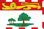 PRINCE EDWARD ISLAND 5 X 3 FLAG flags CANADA CANADIAN PROVINCE CHARLOTTETOWN