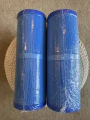 Swimming Pool Filter PP Children's SPA Filter Replacement For PWW50L (2 Pack)