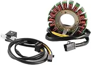QCLCVBBFGW Generator Magneto Stator Coil Fit for Kawasaki EX250 ZZR250 Ninja 250 GPX250R II EL250 Eliminator 250 252 KLE250 Anhelo