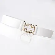 Women's Belt Alloy White Black Gray Pink Camel Wide Belt Outdoor Dailywear Daily Holiday Pure Color / Spring / Summer / Fall / Winter / Coffee