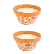 2x Dragonfly Terracotta Pot Sandalwood Citronella 15cm Wax Candle Home Fragrance