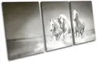 White Horses Herd Galloping Modern Animals TREBLE CANVAS WALL ART Picture Print