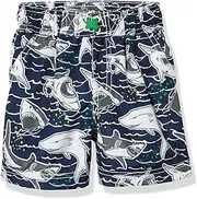 [iXtreme] Boys' Swim Trunks Quick Dry Board Shorts Mesh Lining