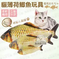 在飛比找PChome24h購物優惠-【PET DREAM】貓玩具S號 貓薄荷鯽魚玩具 寵物玩具 