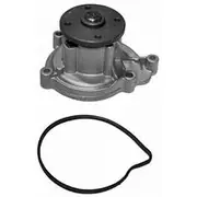 INA Water Pump - 538011310