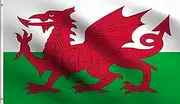 DMSE Wales Welsh National Red Dragon of Cadwaladr Flag 2x3 Ft Foot 100% Polyester 100D Flag UV Resistant (2' X 3' Ft Foot)