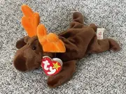 TY Beanie Baby “Chocolate the Moose” RARE w/ Errors