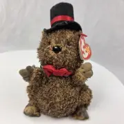 Ty Beanie Baby - PUNXSUTAWNEY PHIL 2005/2006 Date Errors Groundhog Plush Toy