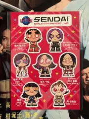 SENDAI GIRLS PRO WRESTLING Stickers Powerpuff Girls Meiko Satomura Stardom Joshi