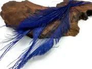 5 Pieces - Navy Blue Bleached & Dyed Peacock Swords Cut Feathers Craft Supplier
