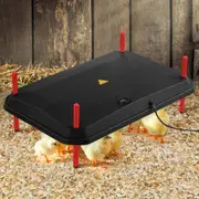Chick Brooder Heating Plate Chicken Coop Heater Chook Brooding Poultry Duck Warmer Adjustable for 40 to 50 Chicks 45x60cm