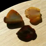 3 Geode Slices Polished Brown Agate Crystal Display Stones End Cut Natural Rocks