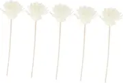 5 Set Chrysanthemum Aroma Diffuser Reeds Natural Rattan Sticks for Essential Oil Diffuser Lightweight Fragrance Replacement for Home Decor Long Aromatherapy Sticks