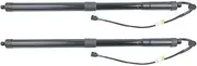 Gas Springs for Cayenne 92A 958 2011-2014 95851285104 3.0 Diesel 4.8 4.2 S Diesel 3.6 4.8 Turbo AP01 Electric Tailgate Gas Strut Gas Struts