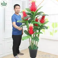 在飛比找樂天市場購物網優惠-塑料鴻運當頭盆栽假綠植室內紅運花裝飾客廳擺件假花仿真植物盆景