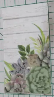 Three Decorative Hostess Napkins for Decoupage "Succulents"