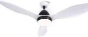 48'' Ceiling Fans, Fan Lights and Remote for Bedroom Living Room Indoor, DC Moto