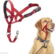 Halti Dog Training Headcollar, Red