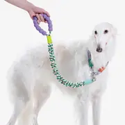 Maogou Blue Marshmallow Twisted Dog Leash Green