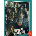 2019韓劇《浪客行/浪行驚爆點/亡途覓雪》DVD 李昇基/裴秀智 國語中字 高清盒裝 8碟