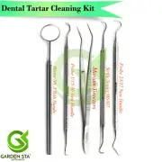 Dental Tartar Calculus Plaque Remover Teeth Sickle Scaler Mirror Hygiene Tweezer