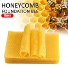 NEW 10Pcs Beeswax Foundation Bee Hive Wax Frames Beekeeping Honeycomb BEST New