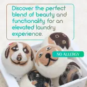 New Zealand Wool Dryer Balls-6Pack XL Reusable Fabric Softener Balls (Dog Face)